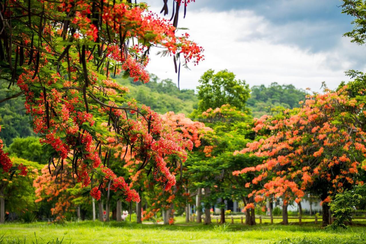 Diamond Hill Resort Nong Nam Daeng Exteriör bild